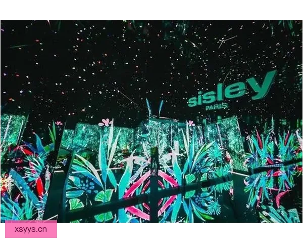 探寻午夜的秘密花园：一个属于你的专属影院